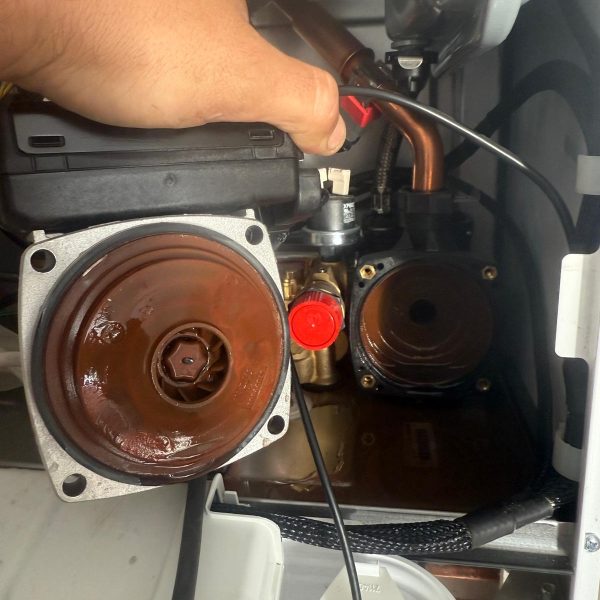 WhatsApp Image 2025 08 05 at 10.26.33